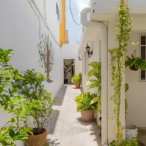 Hotel Palmas Centro